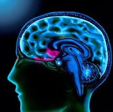Blog_Brain_Clinicians_Corner.jpg