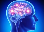 brain.jpg